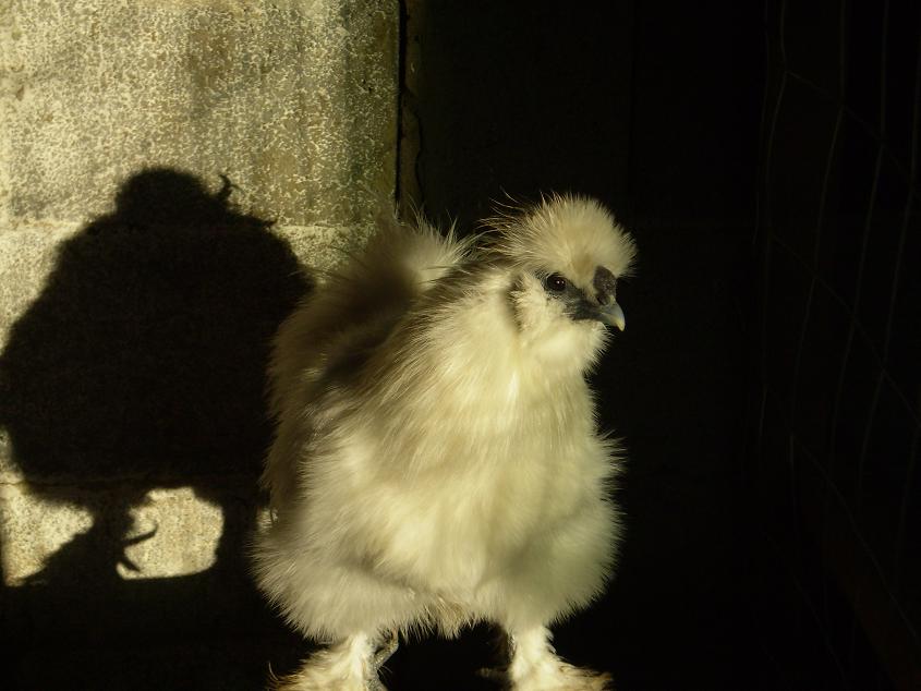 dvzllek a honlapomon!Kellemes idtltst!!